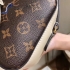 Louis Vuitton Bag 028